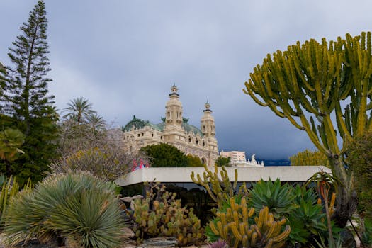 Highlightbet Casino Platform Vanuatu: Features And Operations In The IGaming Market