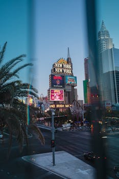 Highlightbet Virtual Sports Platform VC: Features And Opportunities In IGaming